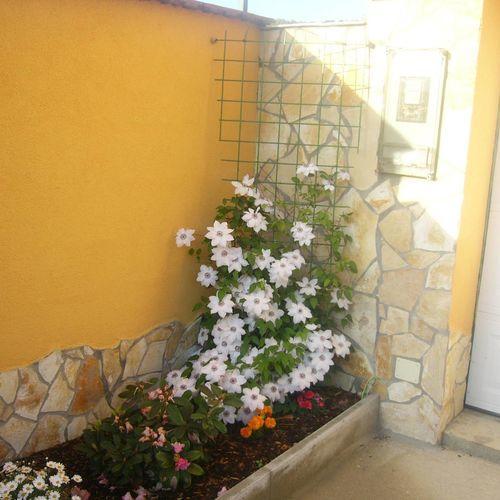 Kustanygyongye Vendeghaz Kehidakustany Apartment Bagian luar foto